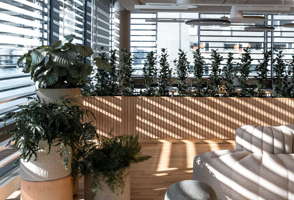 space planning med planter og sofa