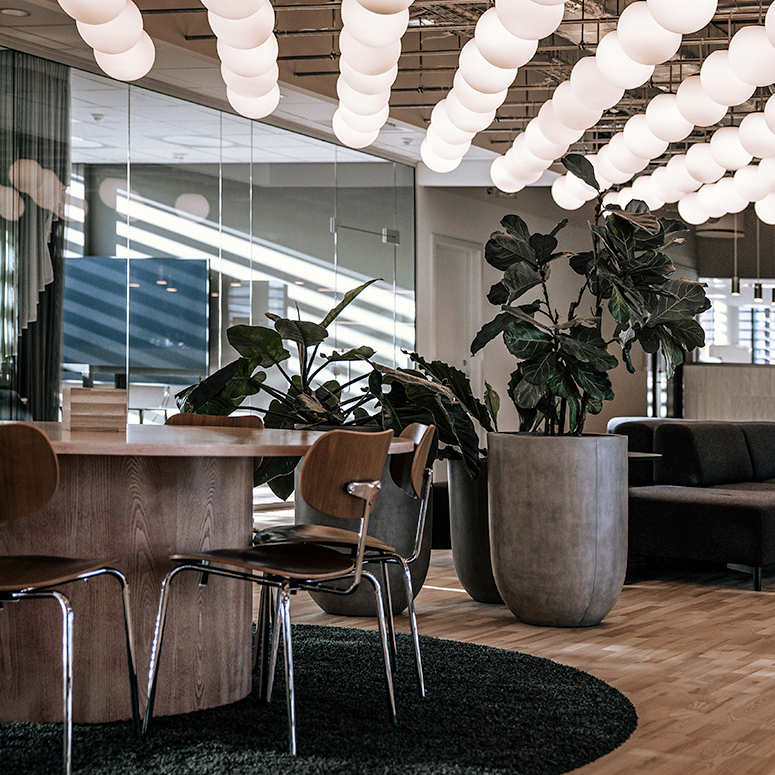 kontor juicebar hos Cever