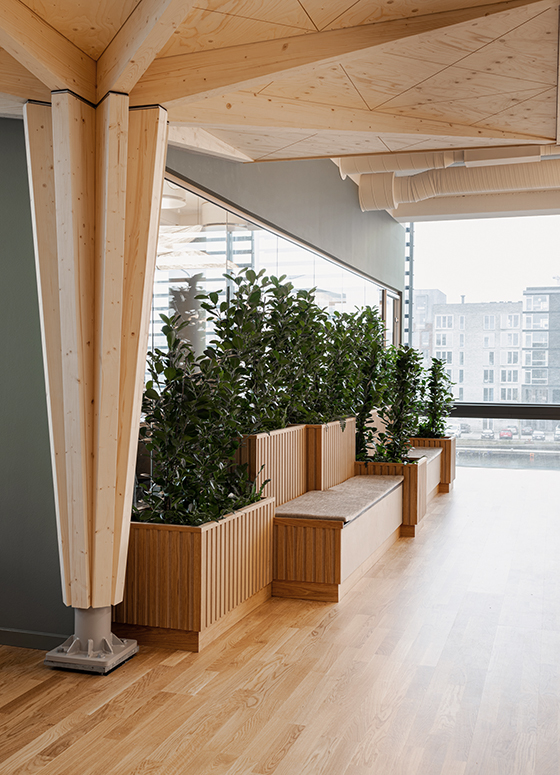 kontorareal fællesareal med bænke